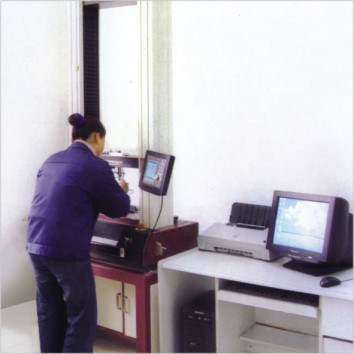 Trumony Aluminum Limited 제조업체의 생산 라인